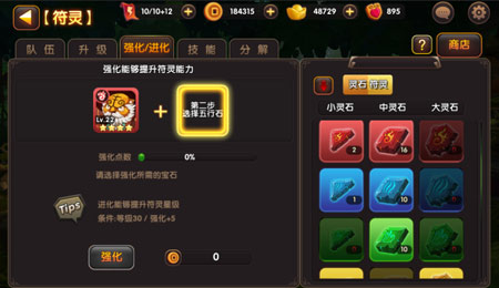 灵将强化/进化